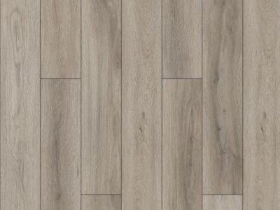 ������������� ������a �������� Effector (SPC) �� ���� ������� 12��./2.64�² Missy Oak VL88017-5