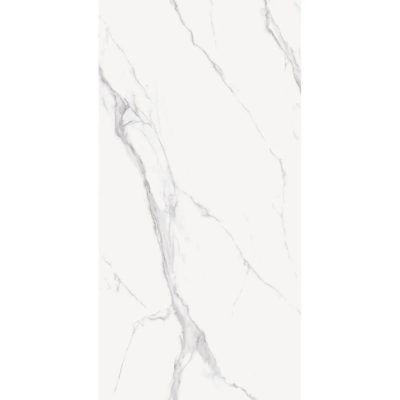 CALACATA SILVER POLISHED 101CP11