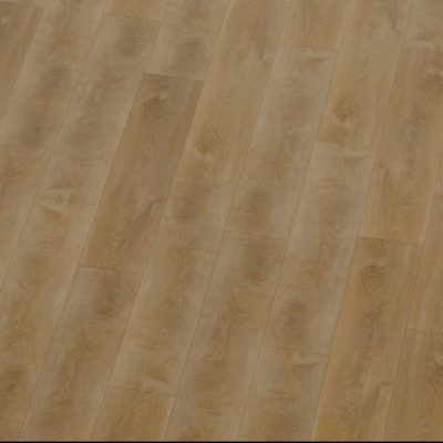 ������������� ������� �������� SPC �� ���� ������� REPUBLIC Nova REELCNO01, 1218 x 181 ��