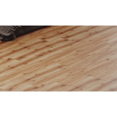 REELCEC06, Eclipse