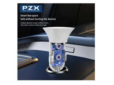  Dual USB PZX C901 3A