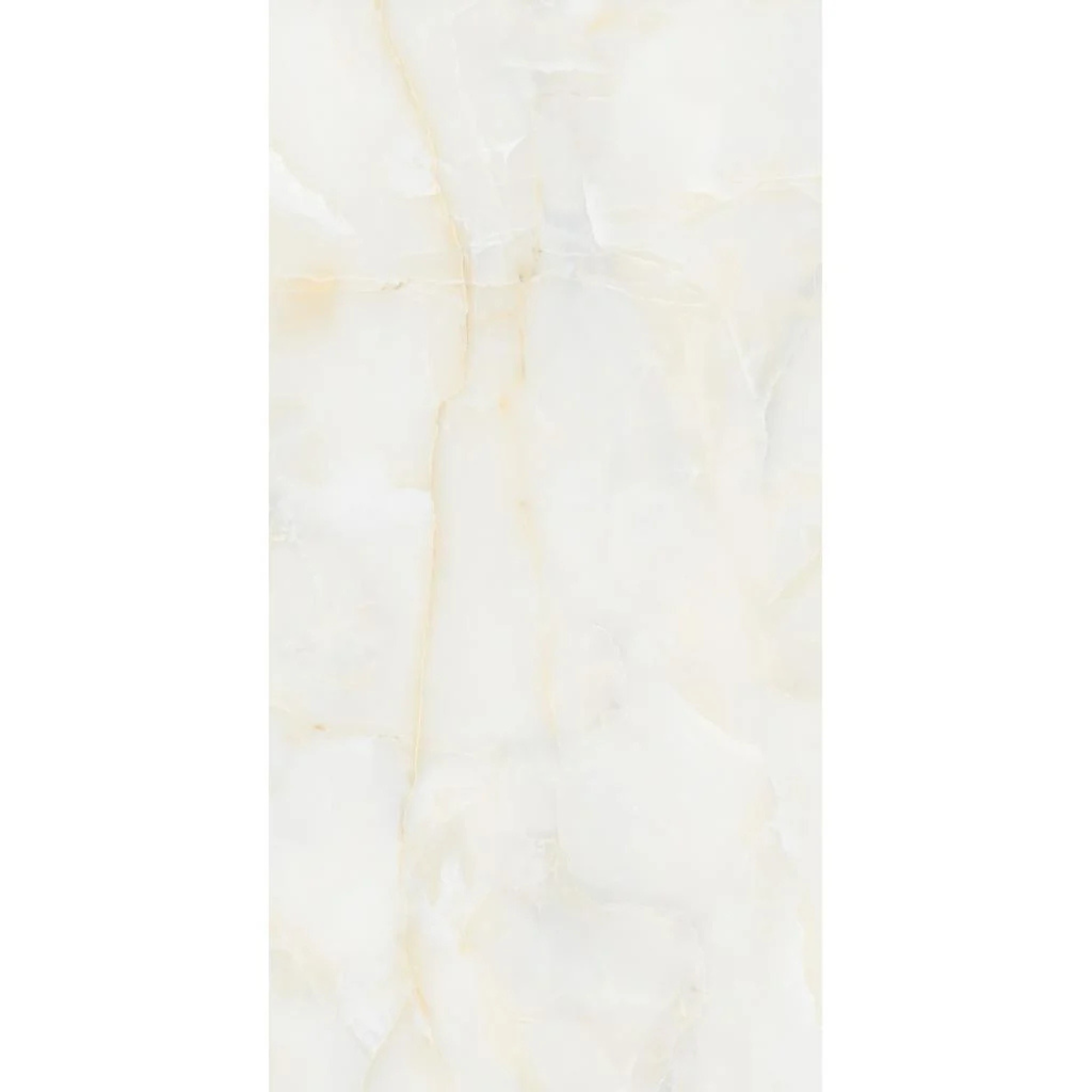 AMONITO GREY 113CC11