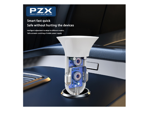  Dual USB PZX C901 3A