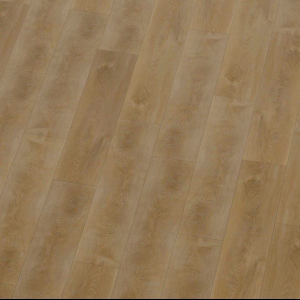 ������������� ������� �������� SPC �� ���� ������� REPUBLIC Nova REELCNO01, 1218 x 181 ��